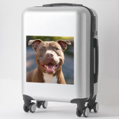 Sticker Ajouter une Personnaliser photo Pit Bull (Sur valise)