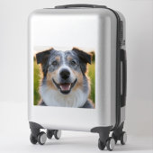 Sticker Ajouter une Personnaliser photo pour animaux domes (Sur valise)