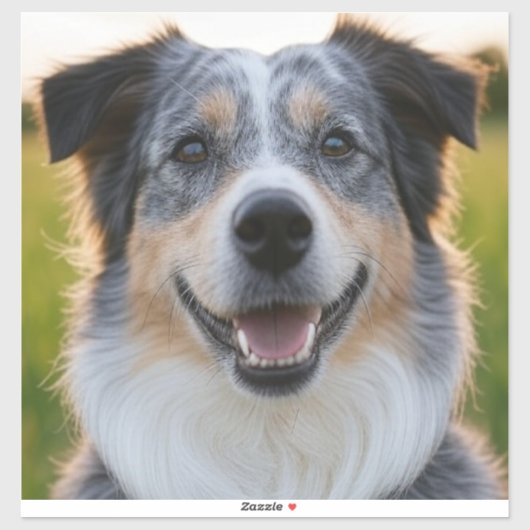 Sticker Ajouter une Personnaliser photo pour animaux domes (Feuille)