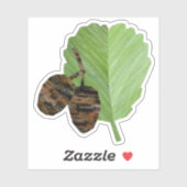 Sticker Alder (Feuille)