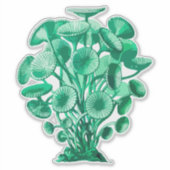 Sticker Algues sous-marines Retro Green (Devant)