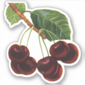 Sticker Aliments aux Fruits Anciens, Cerises Mûres d'un Ar (Devant)
