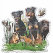 Sticker allemand Chasse Terrier (Jagdterrier) (Devant)