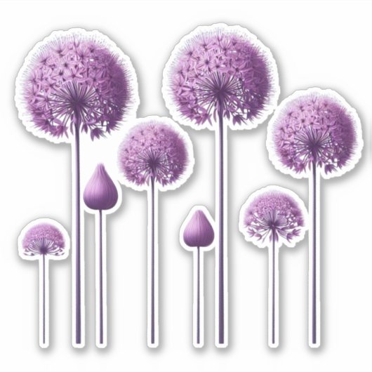 Sticker Allium géant (Devant)