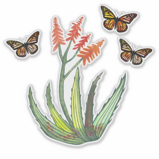 Sticker Alocouleur Aloe Vera Succulent FLowers Papillons (Devant)