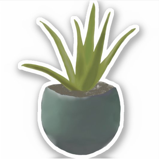 Sticker Aloe Plante (Devant)