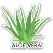 Sticker Aloe vera Green Succulent (Devant)