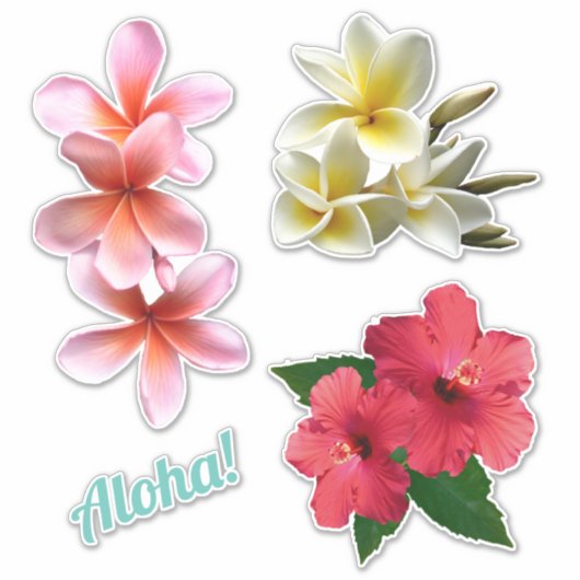 Sticker Aloha Hawaiian Flowers Plumeria Hibiscus (Devant)