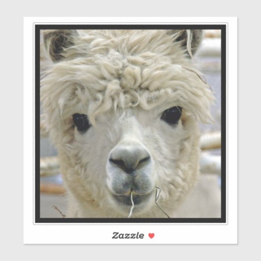 Sticker Alpaca (Feuille)