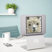 Sticker Alpaca (Ordinateur portable sur le bureau)