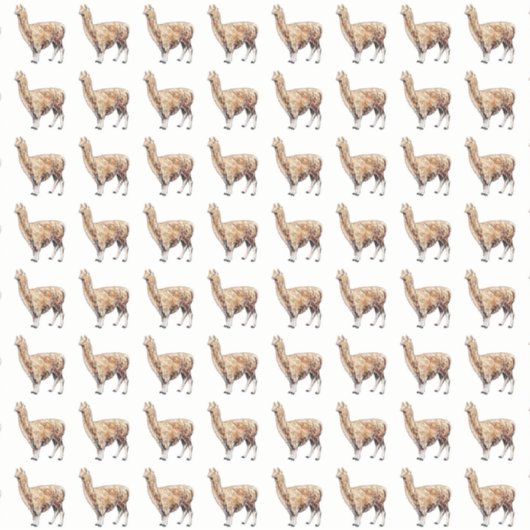 Sticker alpaga (Devant)