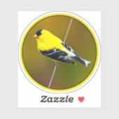 Sticker American Goldfinch - Photo originale (Feuille)