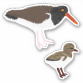 Sticker American Oystercatcher avec poussette (Devant)