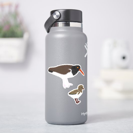 Sticker American Oystercatcher avec poussette (HydroFlask)