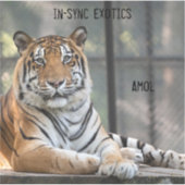 Sticker Amol - (Devant)