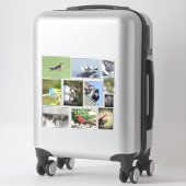 Sticker Amour des oiseaux (Sur valise)