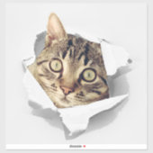 Sticker Amoureux de les chats S'amusent (Feuille)