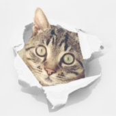 Sticker Amoureux de les chats S'amusent (Devant)