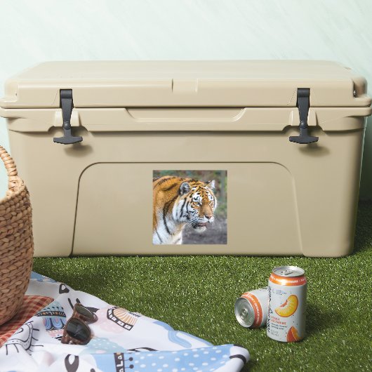 Sticker Amur tiger (Glacière)