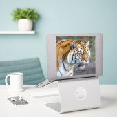 Sticker Amur tiger (Ordinateur portable sur le bureau)