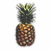 Sticker Ananas (Devant)