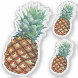 Sticker Ananas Fruits tropicaux et feuille peinture à l'aq