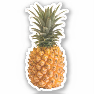 Sticker Ananas tropical assez girly moderne d'été