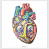 Sticker anatomie cardiaque humaine colorée art abstrait (Feuille)
