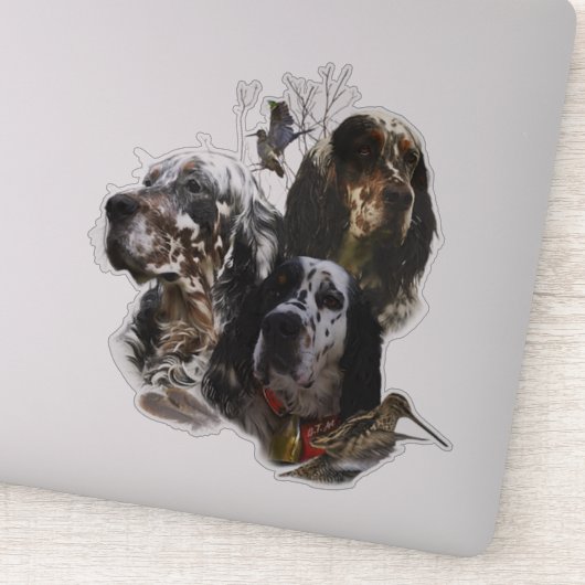 Sticker Anglais Setter, chasse à la bécasse (Détail)