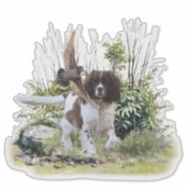 Sticker Anglais Springer Spaniel (Devant)