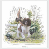 Sticker Anglais Springer Spaniel (Feuille)