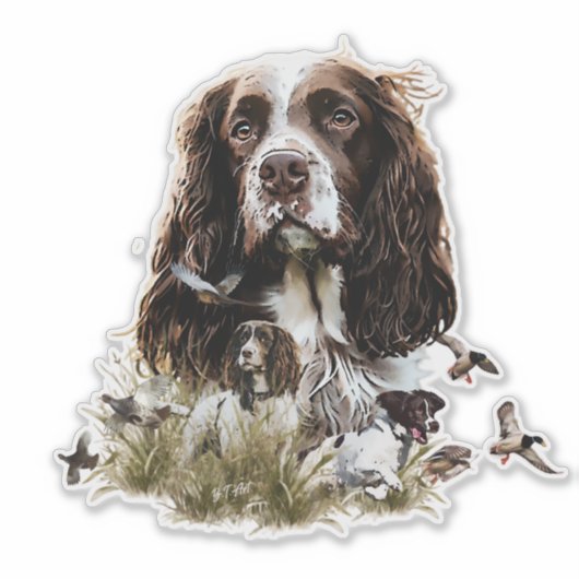Sticker Anglais Springer Spaniel (Devant)