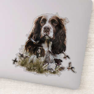 Sticker Anglais Springer Spaniel