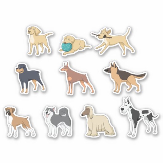 Sticker animal chien (Devant)