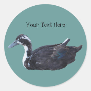 Sticker animal de ferme de canard noir mignon