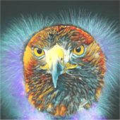 Sticker AnimalArt_Oiseau_005 (Devant)
