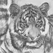 Sticker AnimalArtBW_Tiger_009 (Devant)
