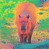 Sticker AnimalColor_Capybara_011 (Devant)