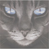 Sticker Animale anime style 6 (Devant)