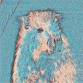 Sticker AnimalMix_Capybara_001 (Devant)