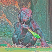 Sticker AnimalMix_Gorilla_004 (Devant)