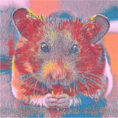 Sticker AnimalMix_Hamster_002 (Devant)