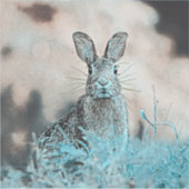 Sticker AnimalMix_Rabbit_024 (Devant)