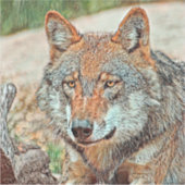 Sticker AnimalMix_Wolf_003 (Devant)