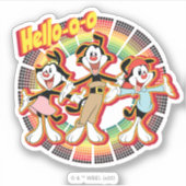 Sticker Animaniacs | Hello-o Retro Equalizer Graphic (Devant)