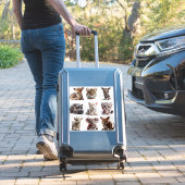 Sticker Animaux Bébés Série 1 (Valise Insitu)