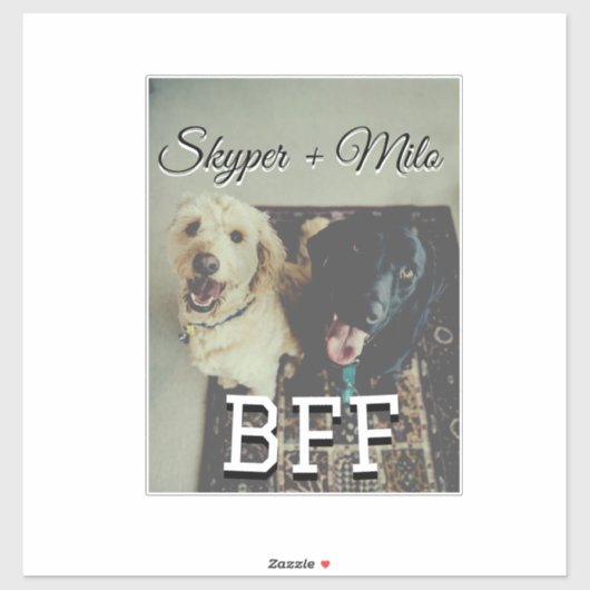 Sticker Animaux de compagnie amis besties ajouter nom anim (Feuille)