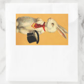 Sticker Anthro Magic Pet Trick Konijnenhaas (Tas)