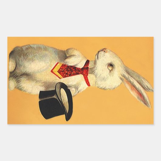 Sticker Anthro Magic Pet Trick Konijnenhaas (Voorkant)