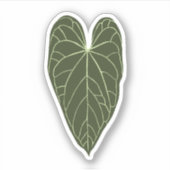 Sticker Anthurium Crystallinum (Devant)